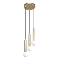 ITALUX - Lampadario a sospensione su cavo FILANO 3xG9/5W/230V dorato