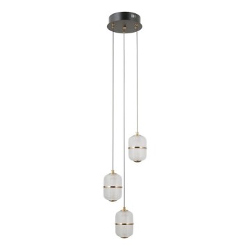 ITALUX - Lampadario LED a sospensione con cavo ALANI 3x LED da 5 W, 230 V, 3000 K nero/oro