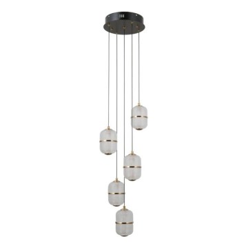 ITALUX - Lampadario LED a sospensione su cavo ALANI 5xLED/5,6W/230V 3000K nero/oro