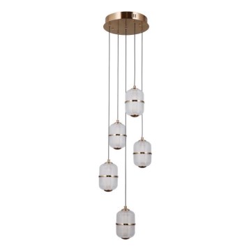 ITALUX - Lampadario LED su cavo ALANI 5xLED/5,6W/230V 3000K oro