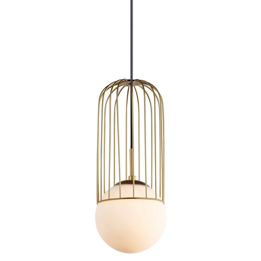 ITALUX - Lampadario a sospensione con filo MATTY 1xE27/40W/230V 100 cm oro