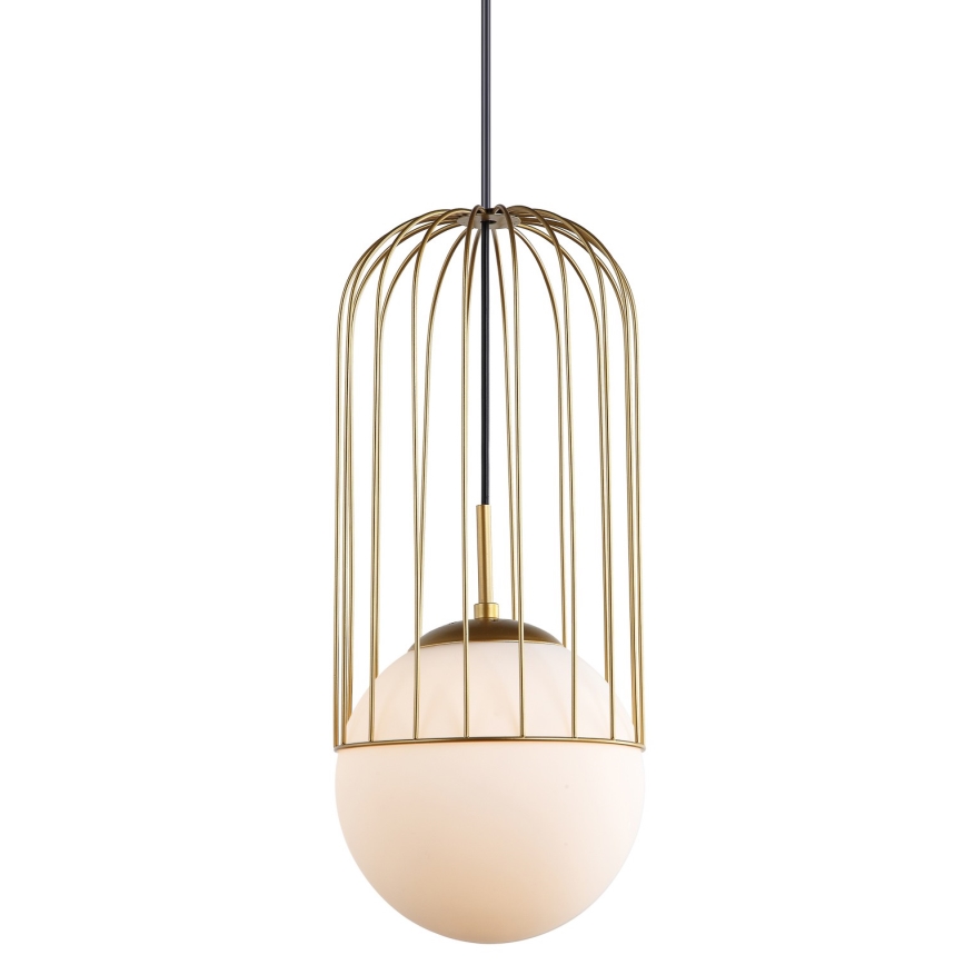 ITALUX - Lampadario a sospensione con filo MATTY 1xE27/40W/230V 95,5 cm oro