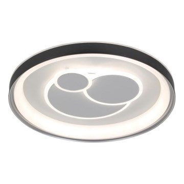 ITALUX - Plafoniera LED dimmerabile FLORINA LED/46W/230V 3000/4000/6500K Ø 49 cm nero + telecomando