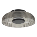 ITALUX - Plafoniera LED PASSO LED/8W/230V 3000K Ø 25 cm nero fumé