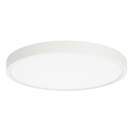 ITALUX - Plafoniera LED RIBERIO LED/30W/230V 3000K bianco