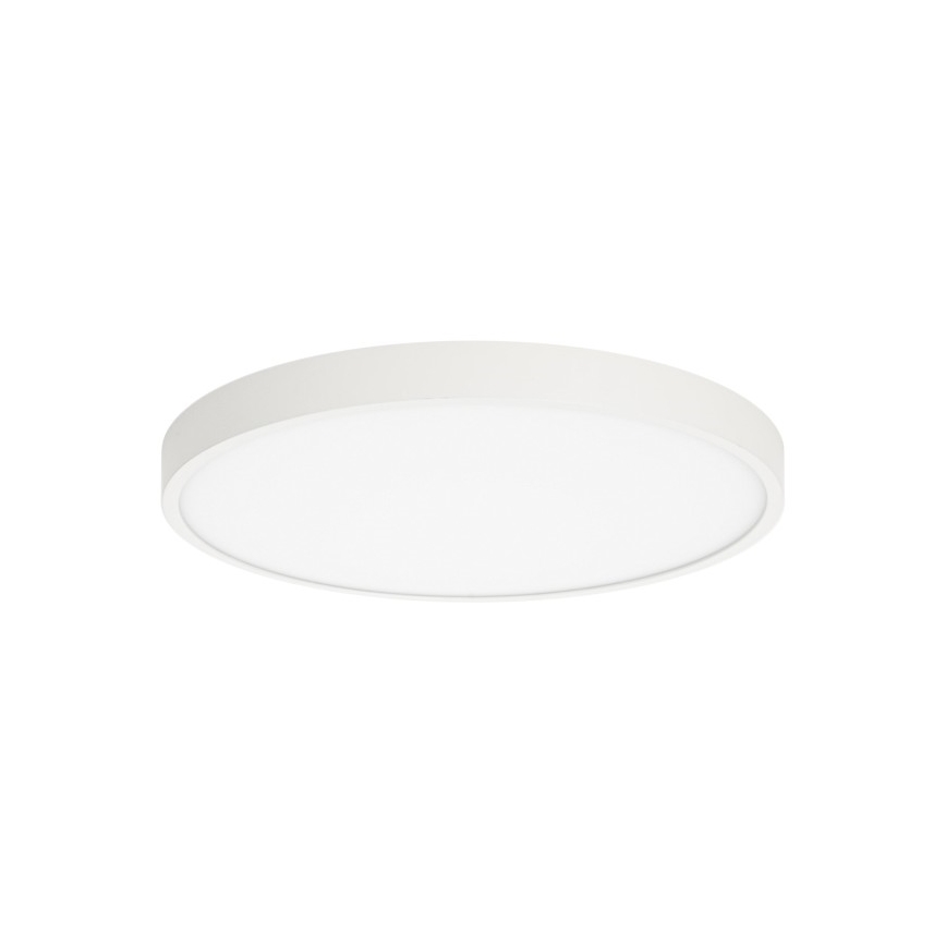ITALUX - Plafoniera LED RIBERIO LED/30W/230V 3000K bianco