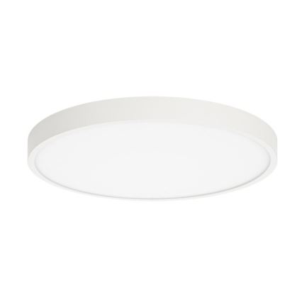 ITALUX - Plafoniera LED RIBERIO LED/30W/230V 4000K bianco