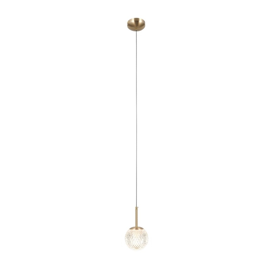 ITALUX - Lampadario a sospensione su cavo PADRI 1xG9/5W/230V oro