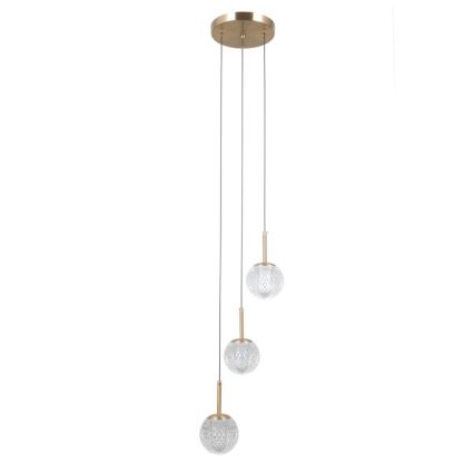 ITALUX - Lampadario a sospensione con cavo PADRI 3xG9/5W/230V dorato