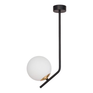 Jupiter 1731 - Lampadario a sospensione con supporto rigido TIM 1xE14/40W/230V ottone