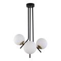 Jupiter 1732 - Lampadario a sospensione con supporto rigido TIM 3xE14/40W/230V ottone