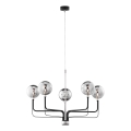 Jupiter 1888 - Lampadario a cavo ERIS 5xG9/14W/230V cromo satinato/nero/grigio fumé