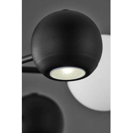 Jupiter 1997 - Lampadario a sospensione con supporto rigido MOKA 3xGU10/10W/230V + 3xG9/10W/230V nero/bianco