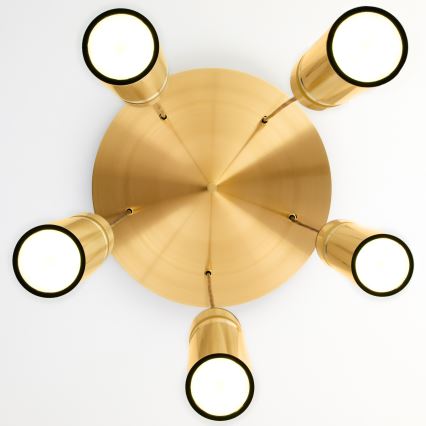 Jupiter 2020 - Lampadario a sospensione con filo ALAS 5xGU10/10W/230V oro