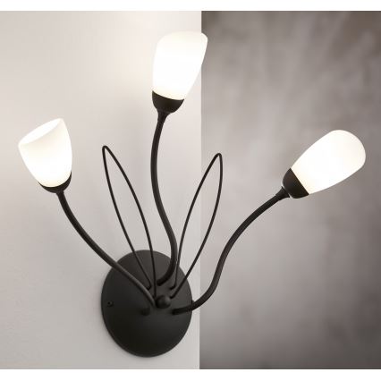 Jupiter 2059 - Lampada da parete GLORIOSA 3xG9/14W/230V nera