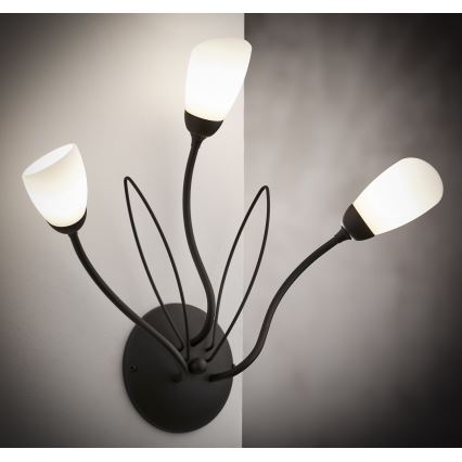 Jupiter 2059 - Lampada da parete GLORIOSA 3xG9/14W/230V nera