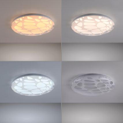 JUST LIGHT. 14009-16 - Plafoniera LED dimmerabile ART PLAFO LED/20W/230V 2700-6500K Ø 38 cm bianca + telecomando