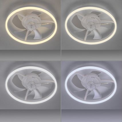 JUST LIGHT. 14624-16 - Ventilatore da soffitto dimmerabile con luce LED RITA LED/22W/230V 3000-6000K Ø 50 cm bianco + telecomando