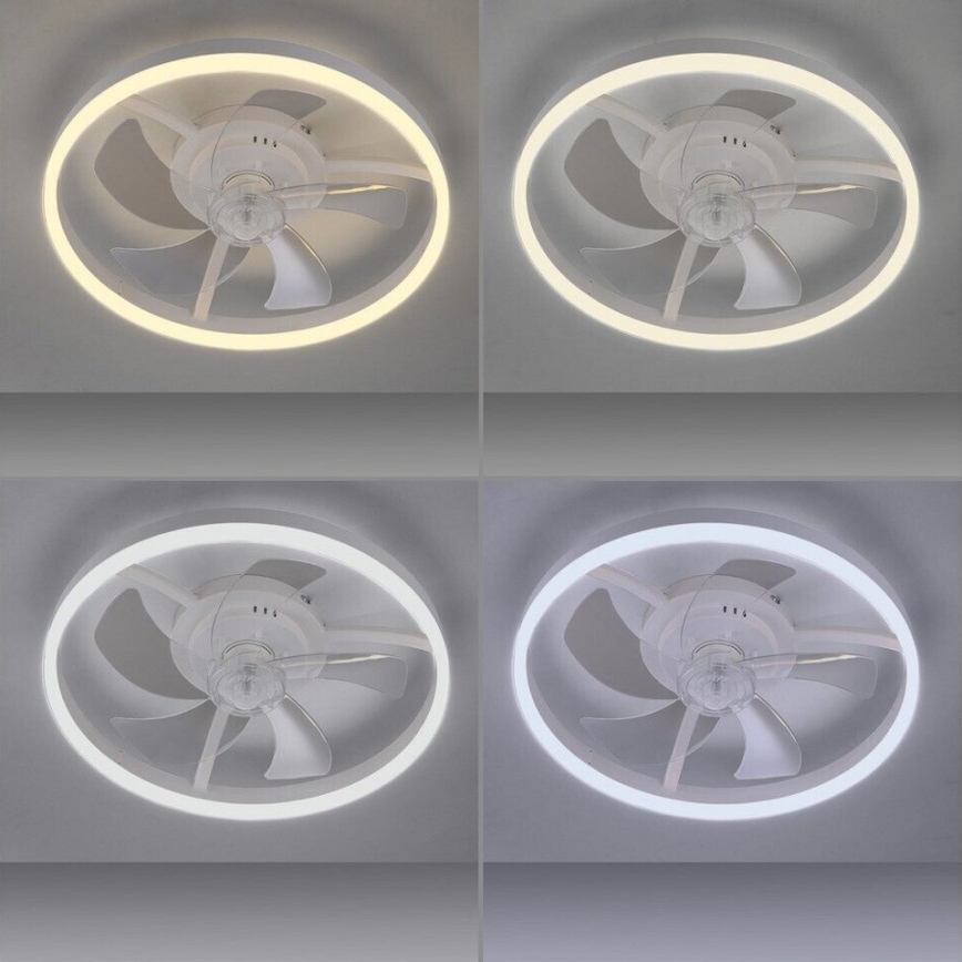 JUST LIGHT. 14624-16 - Ventilatore da soffitto dimmerabile con luce LED RITA LED/22W/230V 3000-6000K Ø 50 cm bianco + telecomando