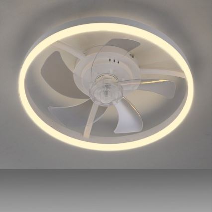 JUST LIGHT. 14624-16 - Ventilatore da soffitto dimmerabile con luce LED RITA LED/22W/230V 3000-6000K Ø 50 cm bianco + telecomando