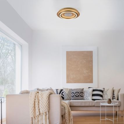 JUST LIGHT. 15089-60 - Plafoniera LED CICHIO LED/36W/230V Ø 40 cm dorata