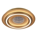 JUST LIGHT. 15089-60 - Plafoniera LED CICHIO LED/36W/230V Ø 40 cm dorata
