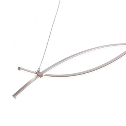 JUST LIGHT. 15382-55 - Lampadario LED a sospensione con filo MAJA 2xLED/8,4W/230V cromo opaco