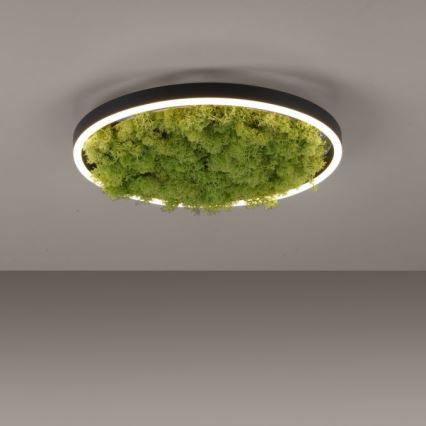 JUST LIGHT. 15391-66 - Plafoniera LED dimmerabile VERDE RITU LED/20W/230V