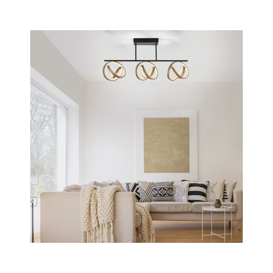 JUST LIGHT. 6245-18 - Lampadario a plafone LED dimmerabile LOOP 3xLED/11W/230V 2700-5000K + telecomando