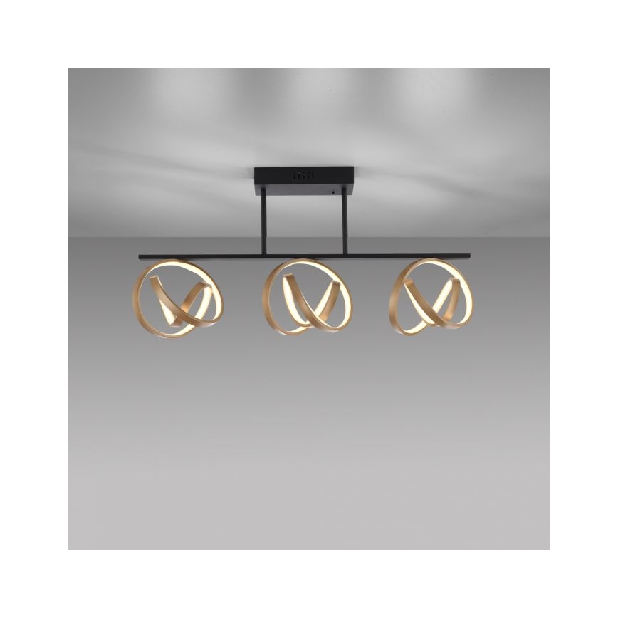 JUST LIGHT. 6245-18 - Lampadario a plafone LED dimmerabile LOOP 3xLED/11W/230V 2700-5000K + telecomando