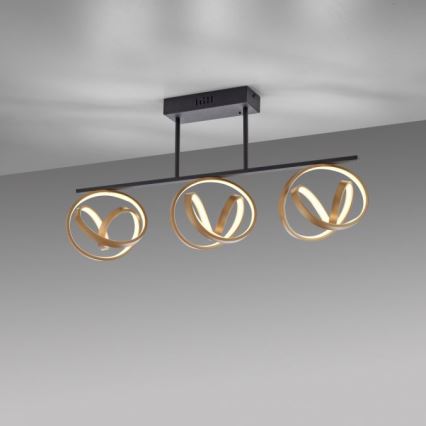 JUST LIGHT. 6245-18 - Lampadario a plafone LED dimmerabile LOOP 3xLED/11W/230V 2700-5000K + telecomando