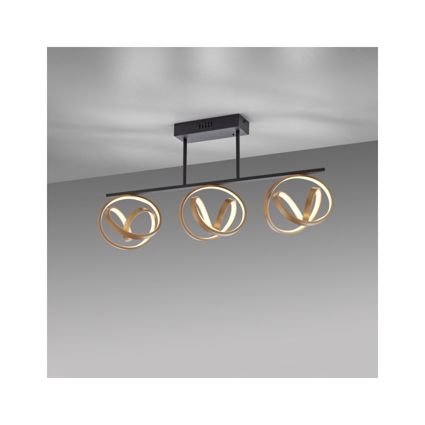 JUST LIGHT. 6245-18 - Lampadario a plafone LED dimmerabile LOOP 3xLED/11W/230V 2700-5000K + telecomando