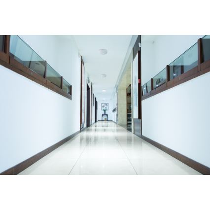 Plafoniera LED con sensore di movimento e sensore crepuscolare FOGLER LED/12W/230V Ø 28 cm