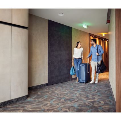 Lampada a LED da soffitto/per controsoffitto 2 in 1 ERGA LED/17W/230V 3000/4000/6500K bianco