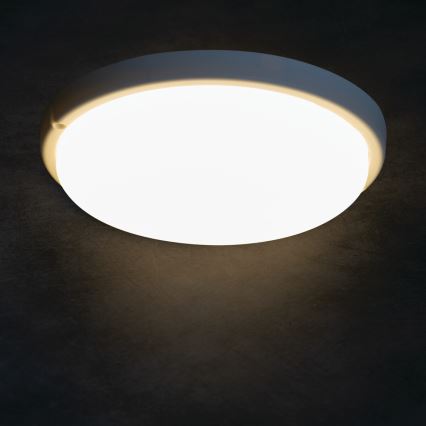 Plafoniera LED da bagno TOLU LED/18W/230V 4000K IP54 bianco