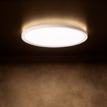Plafoniera LED AZPO LED/18,5W/230V 3000/4000/6000K Ø 29 cm IP54 bianca