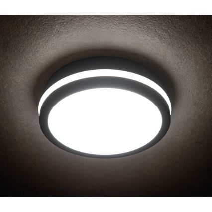 Plafoniera LED da esterno con sensore BENO LED/24W/230V 4000K Antracite IP54