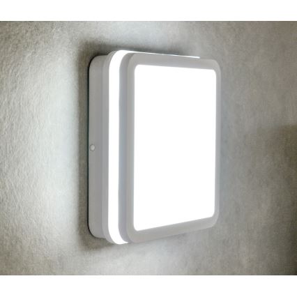 Plafoniera LED da esterno con sensore BENO LED/24W/230V 4000K bianca IP54