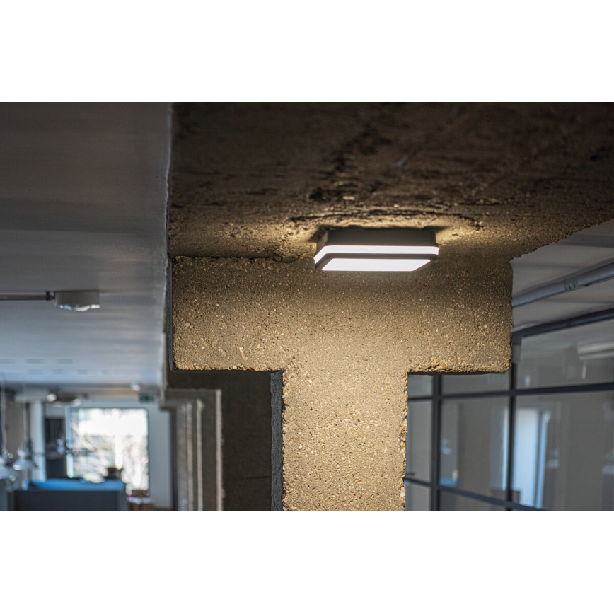 Kanlux 33347 – Plafoniera LED da esterno con sensore BENO LED/24W/230V  4000K Antracite IP54