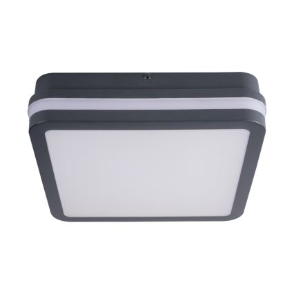 Plafoniera LED da esterno con sensore BENO LED/24W/230V 4000K Antracite IP54
