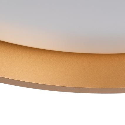 Plafoniera LED SOLN LED/17,5W/230V diametro 38 cm bianco/oro