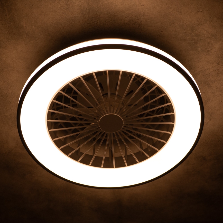 Lampada da soffitto dimmerabile a LED con ventilatore PLAVE LED/48W/230V 3000/4000/6500K + telecomando