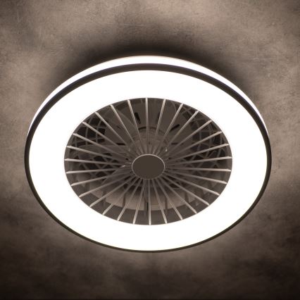 Lampada da soffitto dimmerabile a LED con ventilatore PLAVE LED/48W/230V 3000/4000/6500K + telecomando