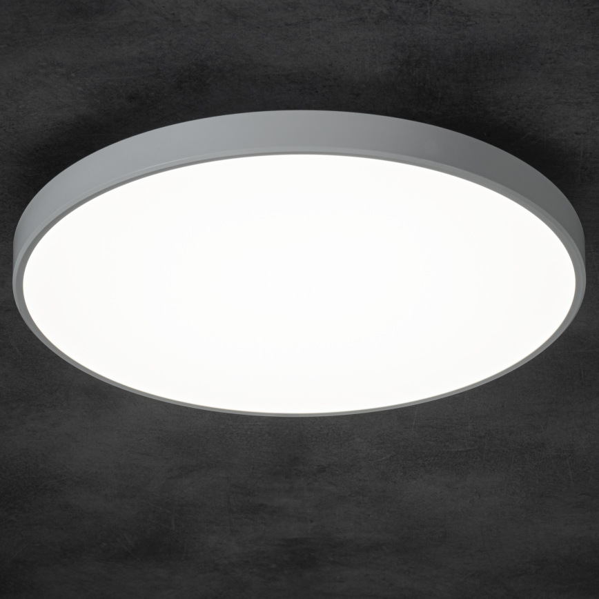 Plafoniera LED dimmerabile PLAFON LED/20W/230V 3000-6500K Wi-Fi bianco
