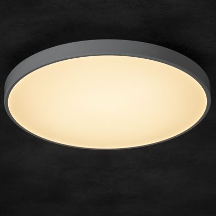 Plafoniera LED dimmerabile PLAFON LED/20W/230V 3000-6500K Wi-Fi bianco