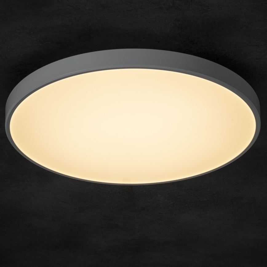 Plafoniera LED dimmerabile PLAFON LED/20W/230V 3000-6500K Wi-Fi bianco
