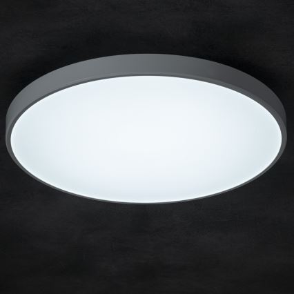 Plafoniera LED dimmerabile PLAFON LED/20W/230V 3000-6500K Wi-Fi bianco