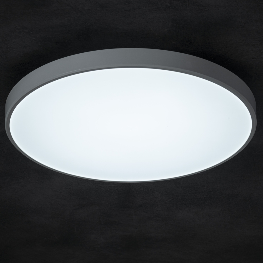Plafoniera LED dimmerabile PLAFON LED/20W/230V 3000-6500K Wi-Fi bianco