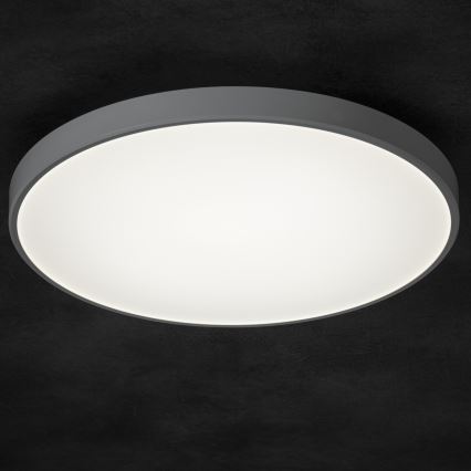 Plafoniera LED dimmerabile PLAFON LED/20W/230V 3000-6500K Wi-Fi bianco