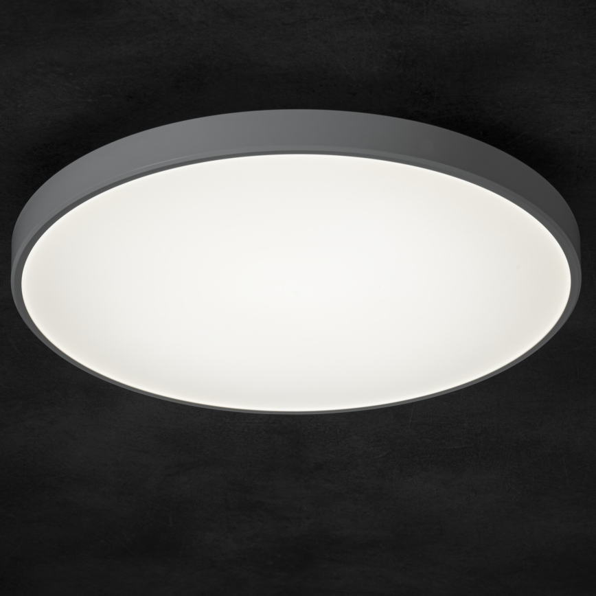 Plafoniera LED dimmerabile PLAFON LED/20W/230V 3000-6500K Wi-Fi bianco